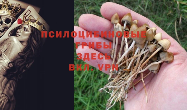 a pvp Алексеевка