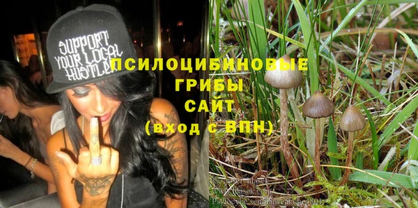 прущие крисы Алексин