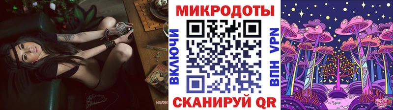 Галлюциногенные грибы Psilocybe  магазин продажи наркотиков  Камешково 